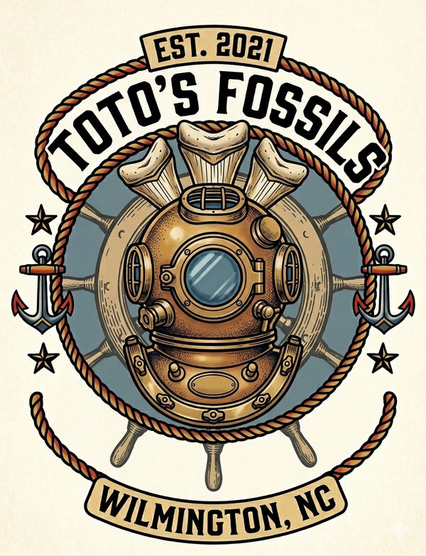 Toto's Fossils